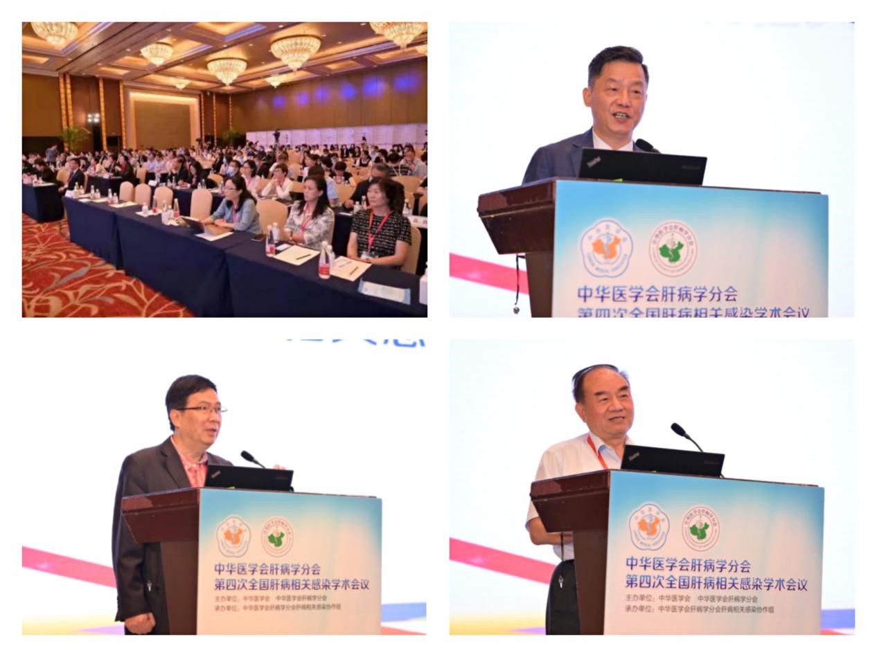 聚焦學(xué)術(shù)前沿，共迎肝病防治新征程！福瑞股份以學(xué)術(shù)助力中醫(yī)藥發(fā)展